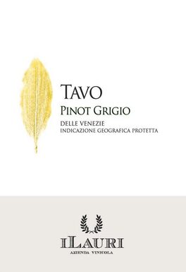 Tavo