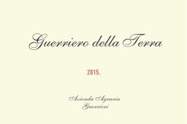 Guerriero della Terra