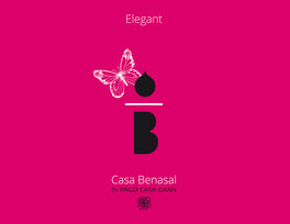 Casa Benasal Elegant