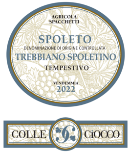Tempestivo