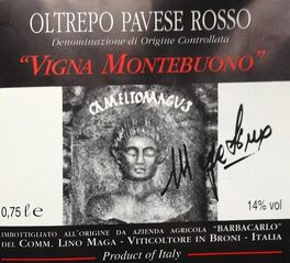Vigna Montebuono