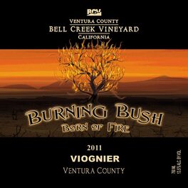Burning Bush
