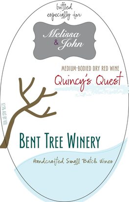 Qunicy's Quest