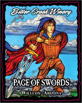 Page Of Swords
