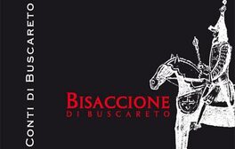 Bisaccione di Buscareto