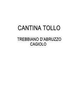 Cagiolo