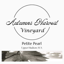 Petite Pearl Upper Hudson Ava