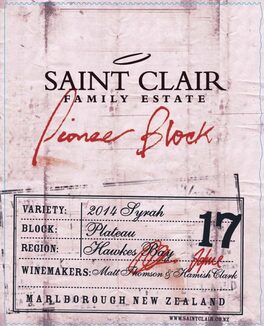 Pioneer Block 17