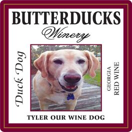 Duck Dog