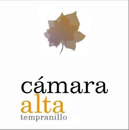 Cámara Alta