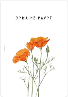 Domaine Pavot - Blanc