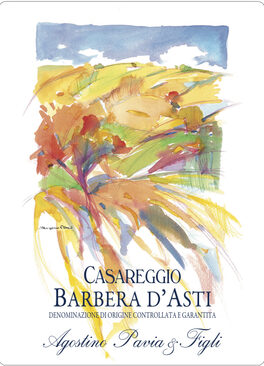 Casareggio