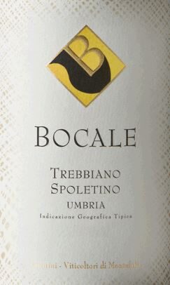 Spoletino