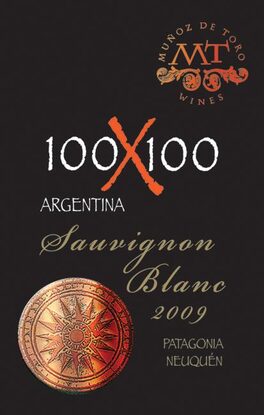 100X100