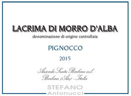Pignocco