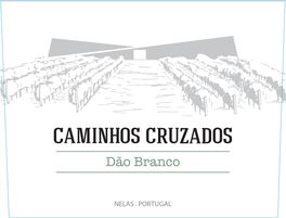 Dão White Wine