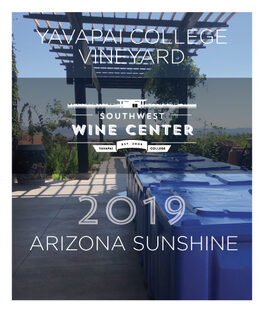 Arizona Sunshine