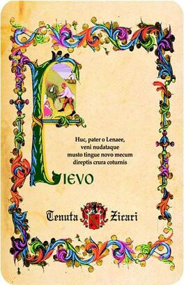 Fievo