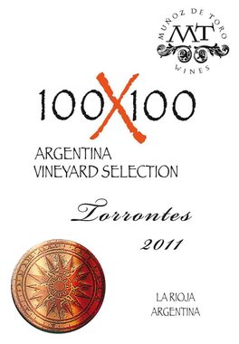 100X100