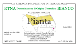 Pianta