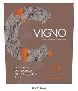 Vigno