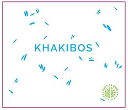 Khakibos