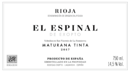 El Espinal