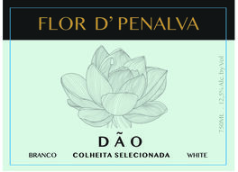 Flor De Penalva Colheita Selecionada