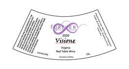 Visione