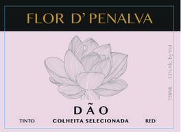 Flor De Penalva Colheita Selecionada