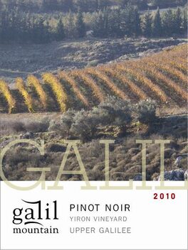 Yiron Vineyard