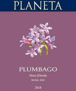 Plumbago