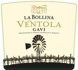 Ventola