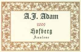 Dhron Hofberg