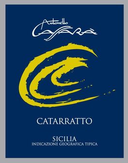 Catarratto