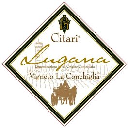 Vigneto La Conchiglia