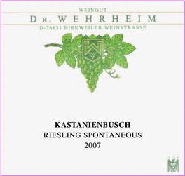 Kastanienbusch Riesling Spontaneous