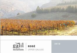 Upper Galilee Rose