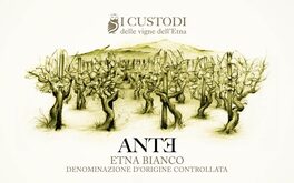 Ante