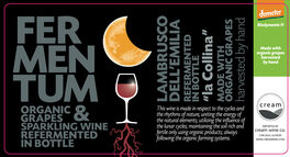 Fermentum