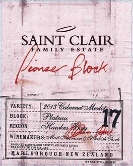 Pioneer Block 17