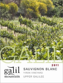 Yiron Vineyard