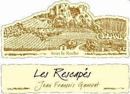 Les Rescapes