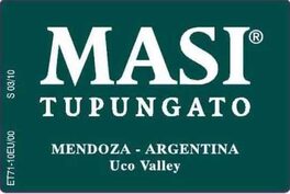 Tupungato