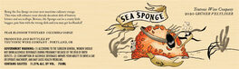 Sea Sponge