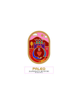 Paleo Black Georgia Saperavi Qvevri Sea Tbilisi Kakhol Dry Red Wine