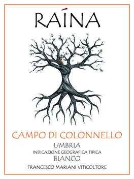 Campo Di Colonnello