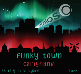 Funky Town