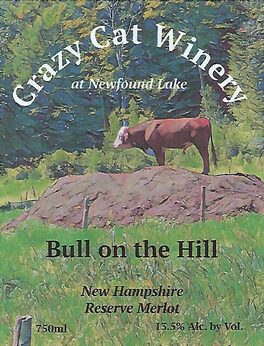 Bull On The Hill