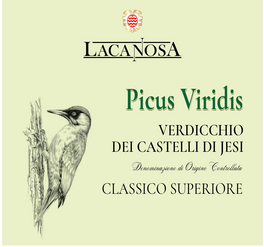 Picus Viridis